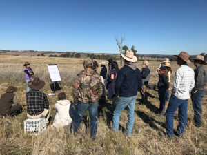 Gwymac Landcare team - one of the 2024 Small Grants recipients